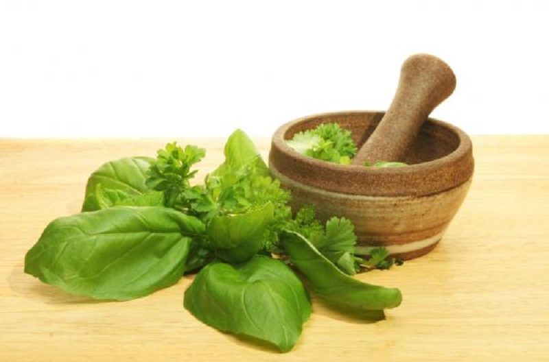 Basil leaves for pimple treatment