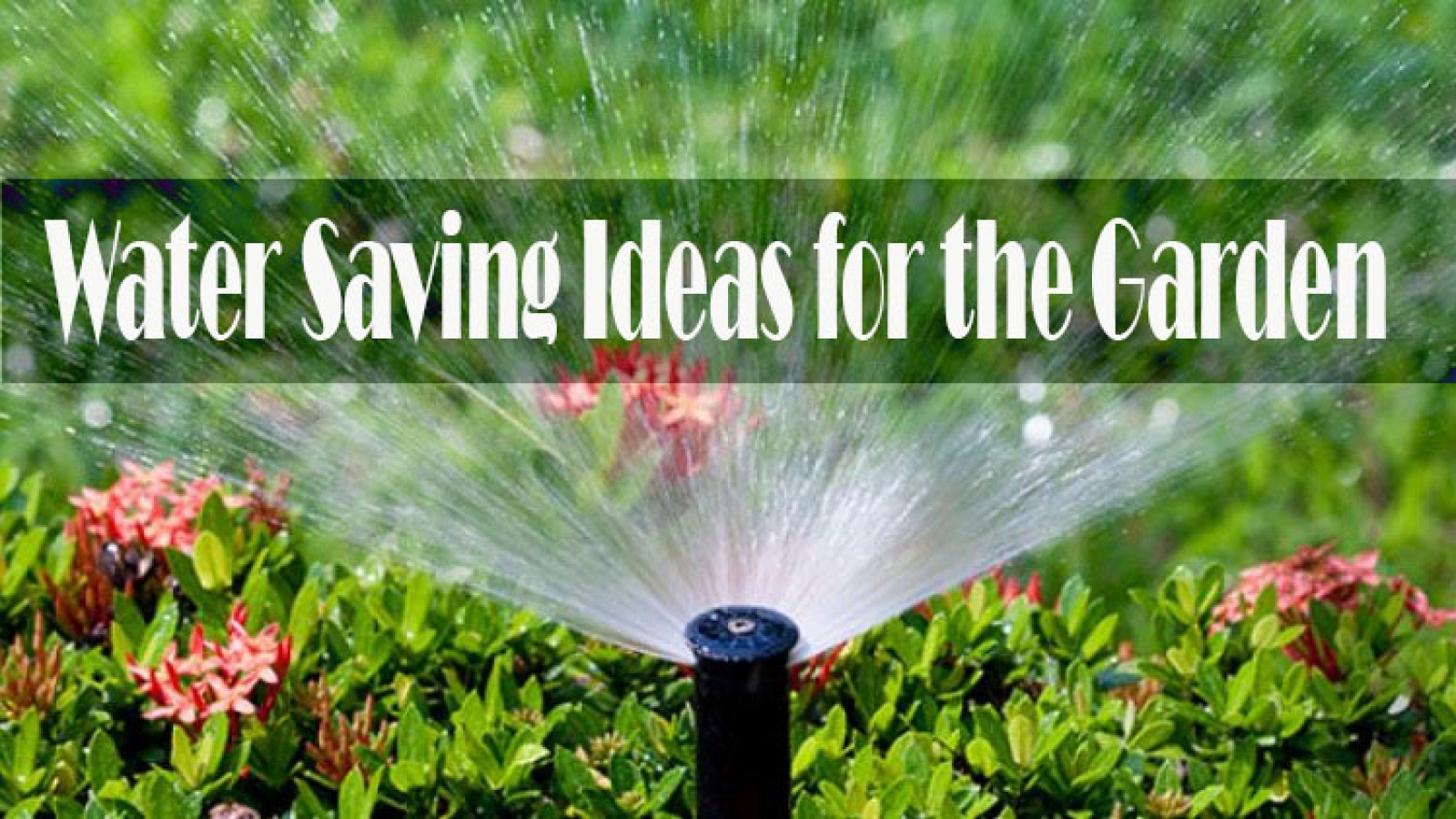 Basic Tips and Water Saving Ideas for the Garden Healthy Flat