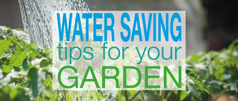 Water Saving Ideas for the Garden