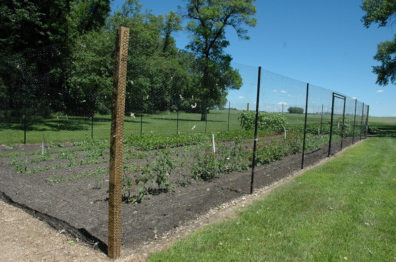 Fences for gardens
