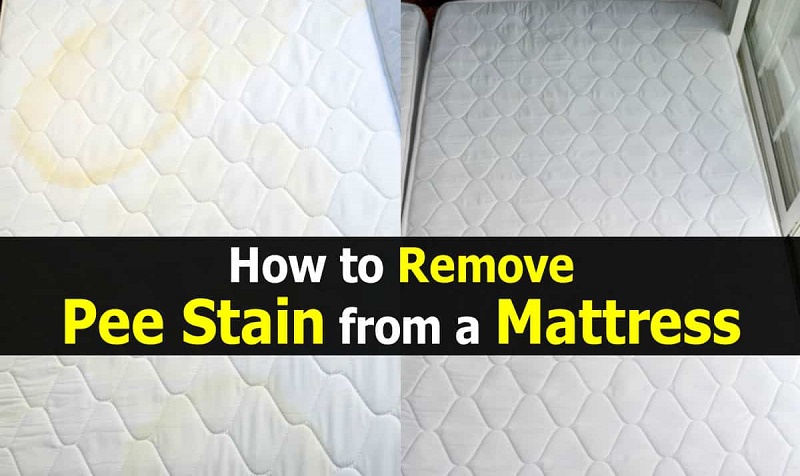 How to remove urine from mattress