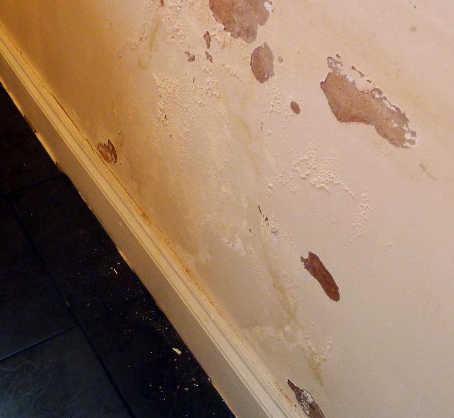 How to fix the problem of damp tiles