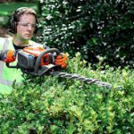 Why hire a professional for Hedge Trimming?