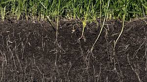 What Is Soil Made Up Of?