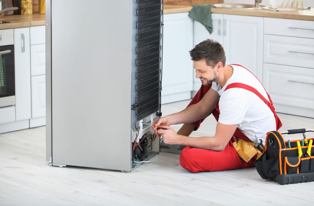 Understanding the Factors: Fix a Refrigerator or Buy a New One