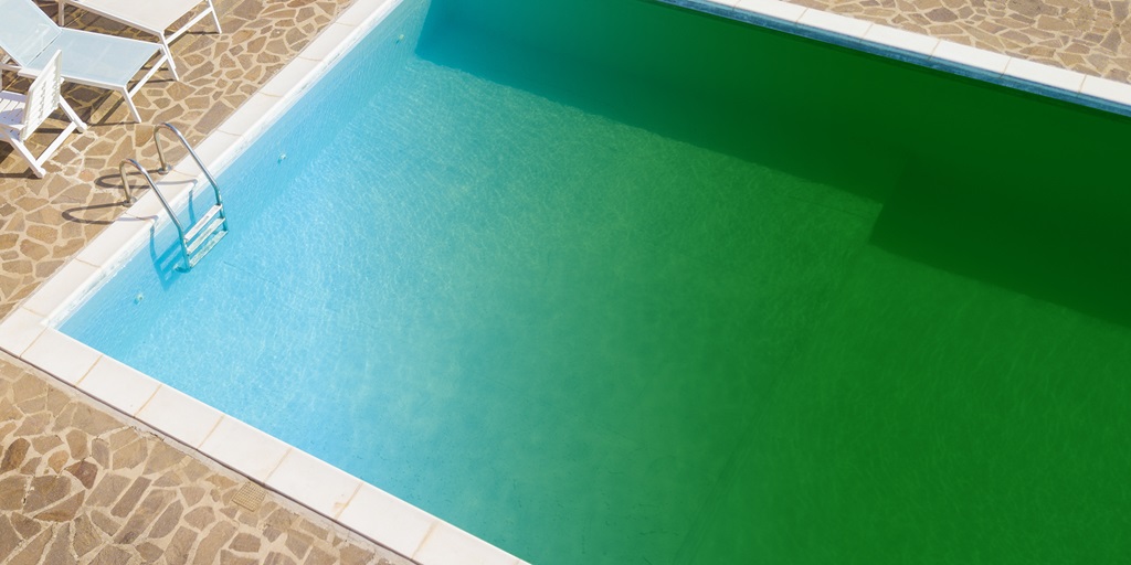 How to Fix Algaecide or Shock Pool