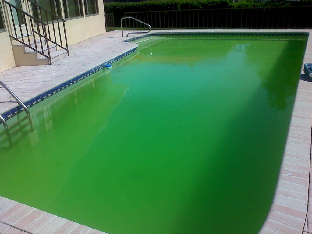 Algaecide or shock first when opening pool