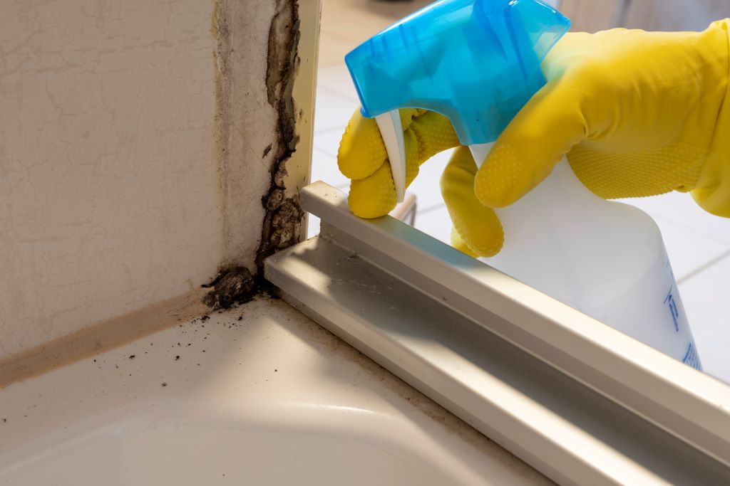 How to remove shower mold from caulk