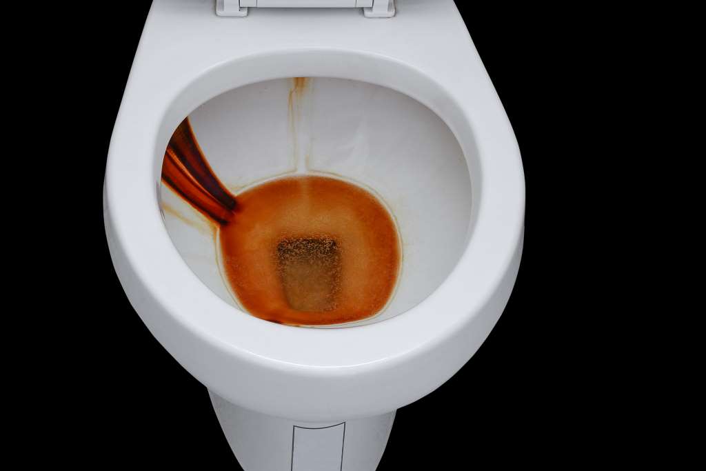 Will Vinegar Remove Rust from Toilet Bowl